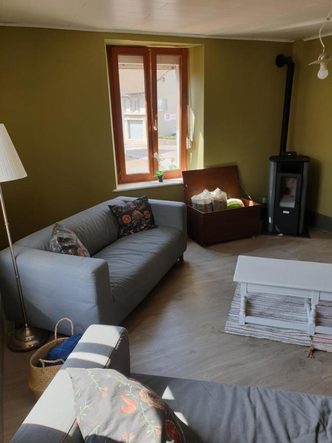 Appartamento Au Pied Du Gazon Saint-Maurice-sur-Moselle Esterno foto