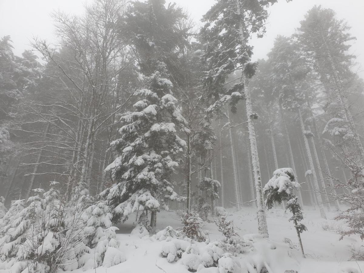Appartamento Au Pied Du Gazon Saint-Maurice-sur-Moselle Esterno foto